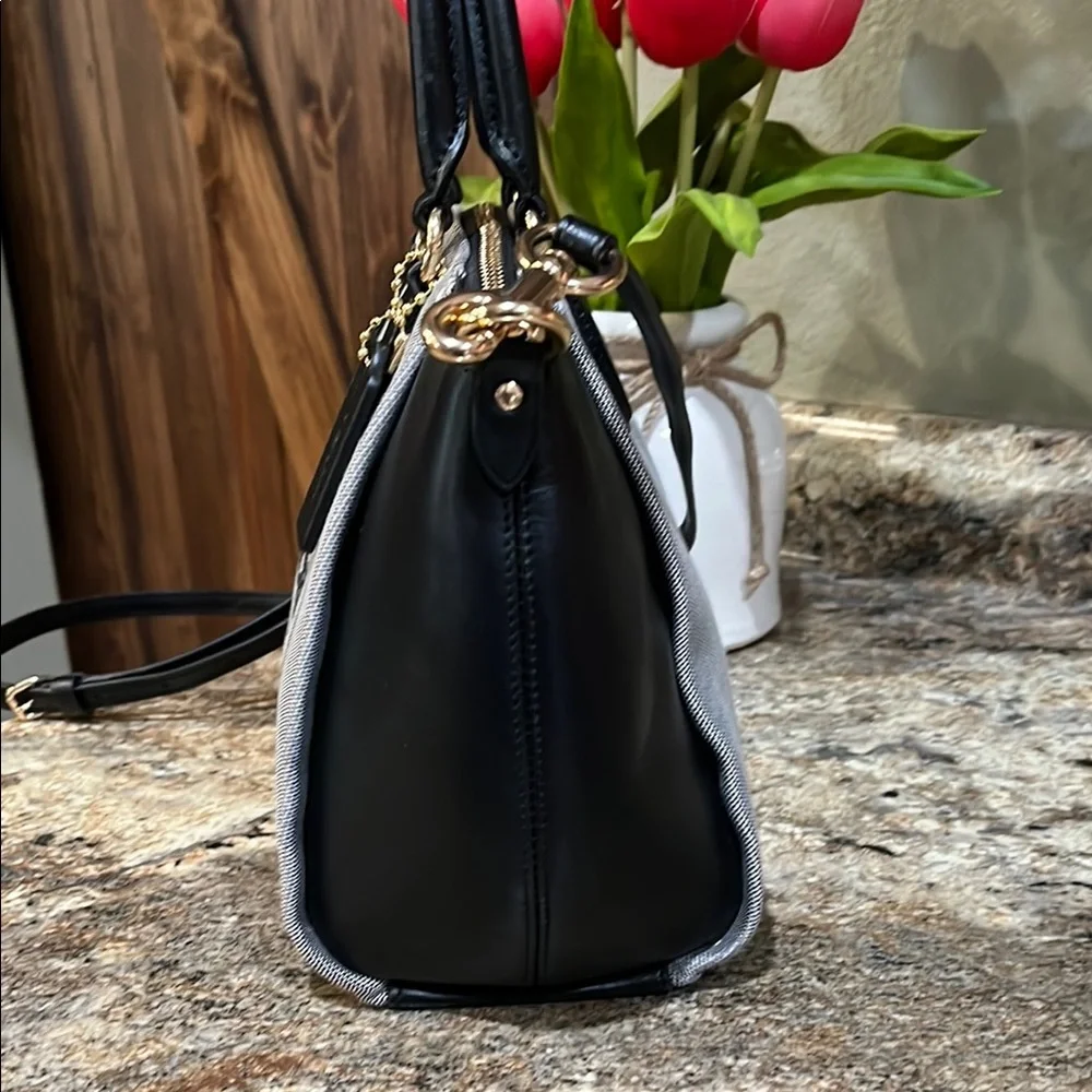 COACH EUC Jacquard Elise Satchel BAG